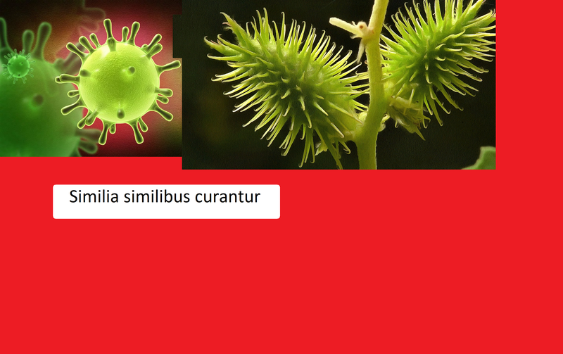 Similia similibus curantur [ ..]